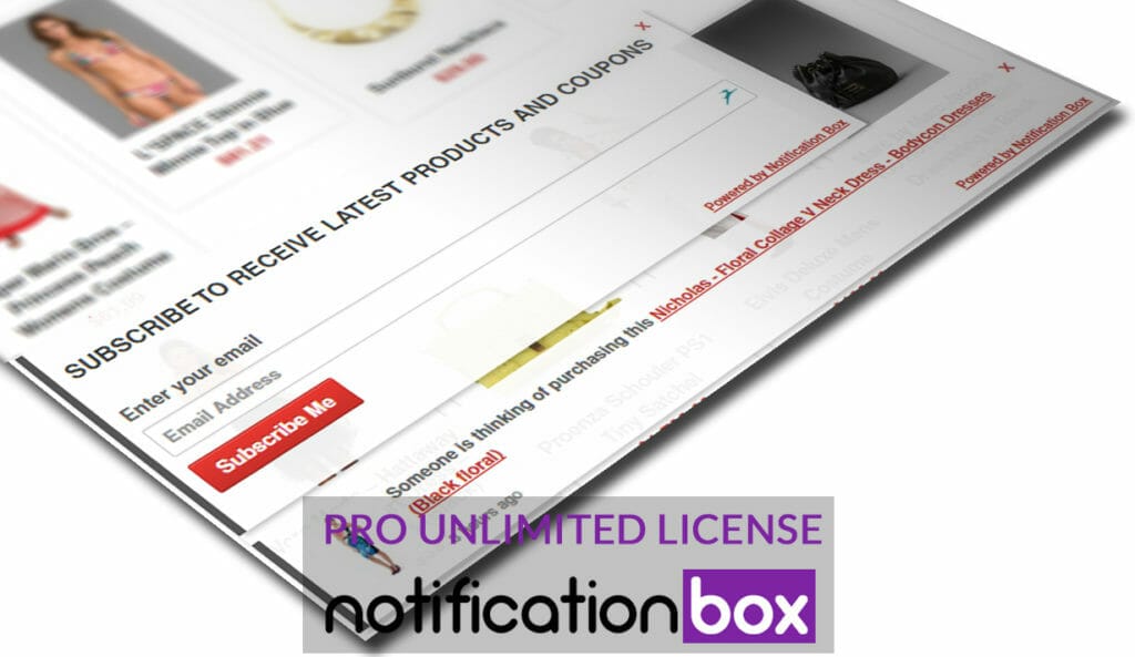 Notification Box WooCommerce Example 2 pro single license