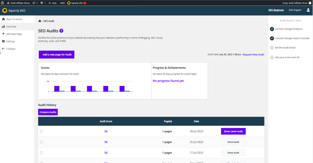 Build Affiliate Stores SEO WORDPRESS PLUGIN TO HELP BUILD AFFILIATE STORES seo audits