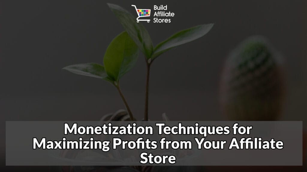 Build Affiliate Stores Monetization Techniques for Maximizing Profits from Your Affiliate Store