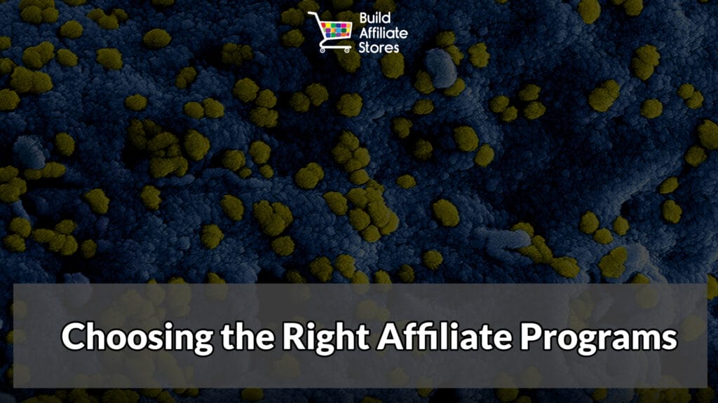 Build Affiliate Stores Choosing the Right Affiliate Programs