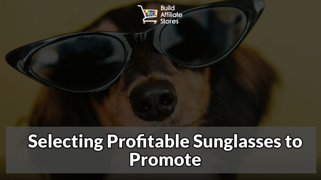 Build Affiliate Stores Selecting Profitable Sunglasses to Promote